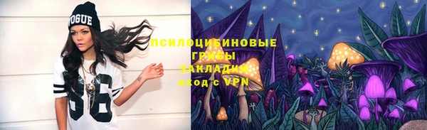 кокс Белокуриха