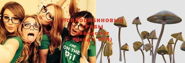 кокс Белокуриха