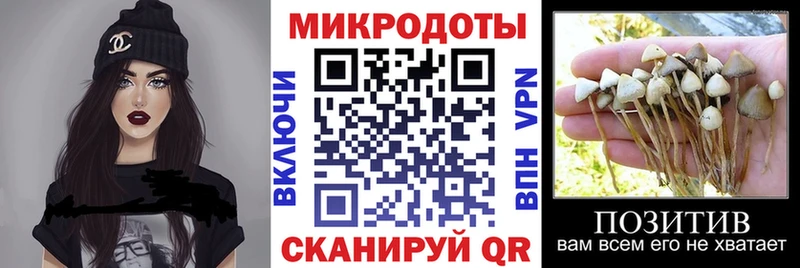 кракен как войти Маркс Галлюциногенные грибы Magic Shrooms